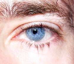 Profil de Serges
